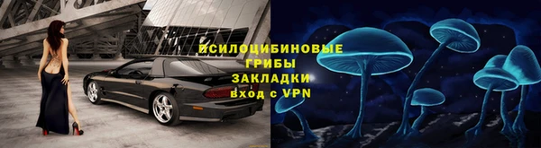 ешки Зерноград
