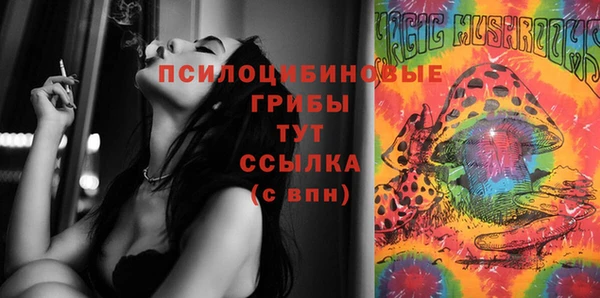 ешки Зерноград