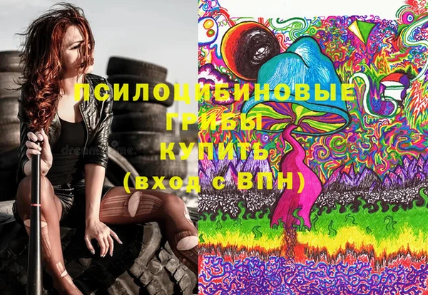 ешки Зерноград