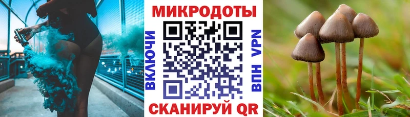 Псилоцибиновые грибы прущие грибы  Купить  Дивногорск 